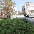 IMG_8976_調整大小.JPG