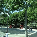 IMG_4417_調整大小.JPG