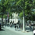 IMG_4435_調整大小.JPG