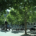 IMG_4472_調整大小.JPG