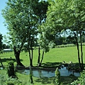 IMG_5246_調整大小.JPG