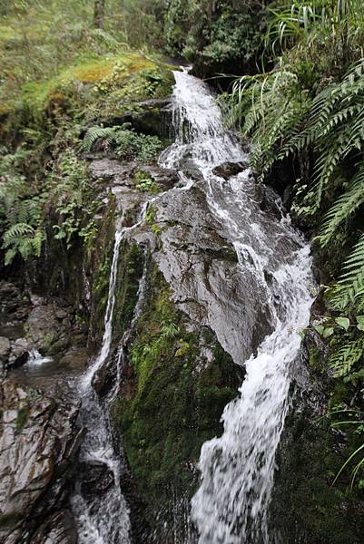 IMG_8051_調整大小