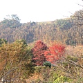 DSC04348_調整大小.JPG