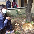20150202_124001_調整大小.jpg