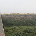 IMG_7365_調整大小.JPG