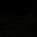 IMG_9654_調整大小.JPG
