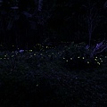 IMG_9587a_調整大小.jpg
