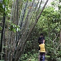 IMG_9816_調整大小.JPG