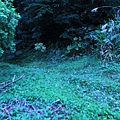 IMG_9876_調整大小.JPG