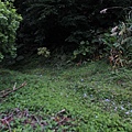 IMG_9877_調整大小.JPG