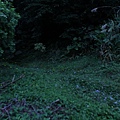 IMG_9879_調整大小.JPG