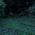 IMG_9878_調整大小.JPG