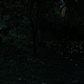 IMG_9882_調整大小.JPG