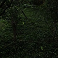 IMG_9889a_調整大小.jpg