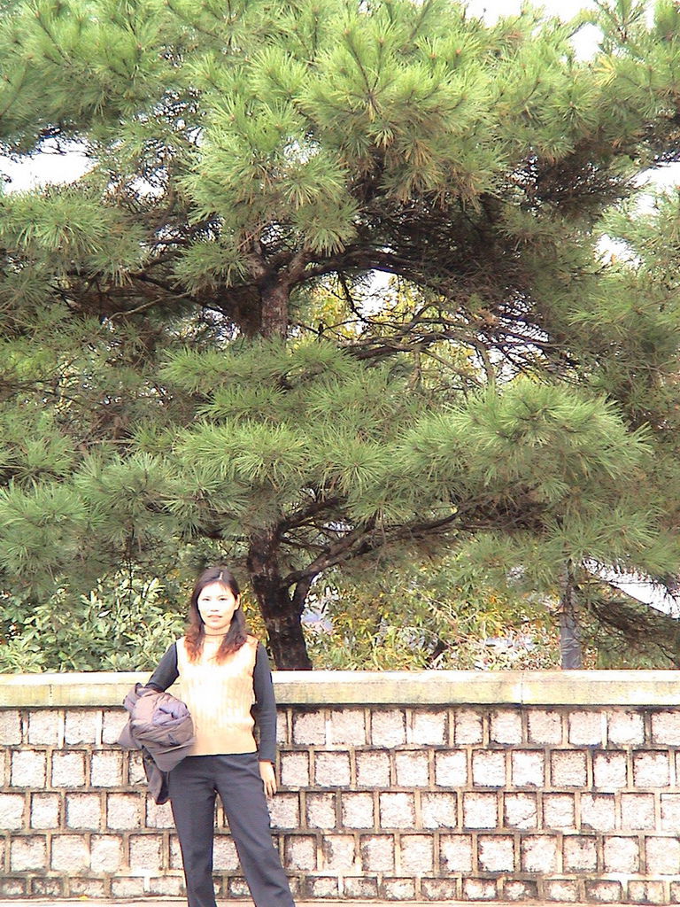 DSC01028_調整大小.JPG DSC01028_調整大小.JPG