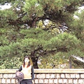 DSC01028_調整大小.JPG