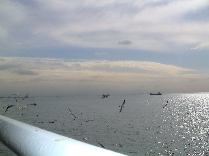 DSC01038_調整大小.JPG DSC01038_調整大小.JPG