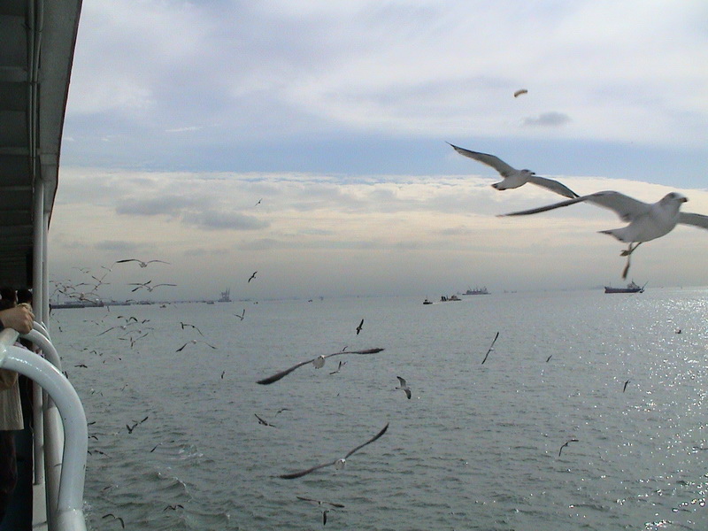DSC01039_調整大小.JPG DSC01039_調整大小.JPG