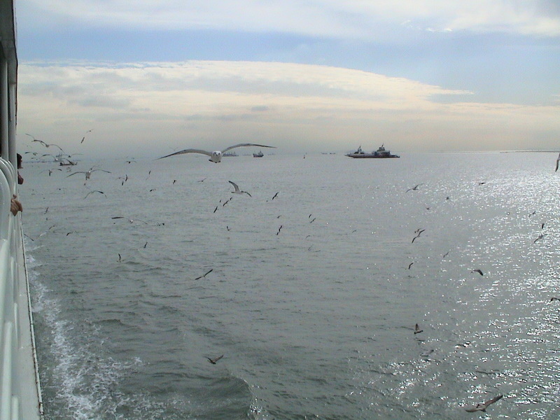 DSC01046_調整大小.JPG DSC01046_調整大小.JPG