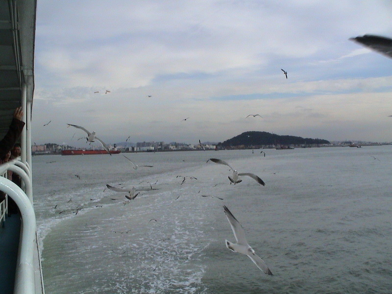 DSC01055_調整大小.JPG DSC01055_調整大小.JPG