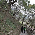 IMG_1875_調整大小.JPG