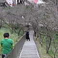 IMG_1881_調整大小.JPG
