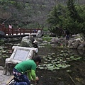 IMG_1897_調整大小.JPG