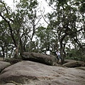 IMG_2492_調整大小.JPG