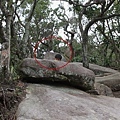 IMG_2493_調整大小.JPG