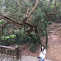 IMG_4293_調整大小.JPG