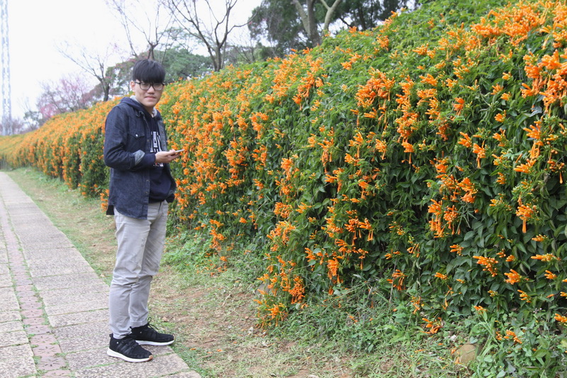 IMG_6424_調整大小.JPG IMG_6424_調整大小.JPG