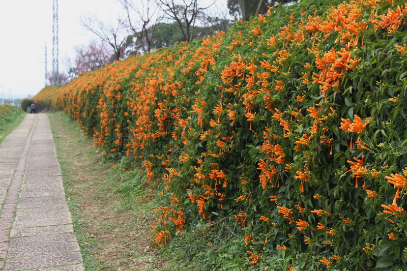 IMG_6425_調整大小.JPG IMG_6425_調整大小.JPG