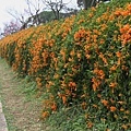 IMG_6425_調整大小.JPG