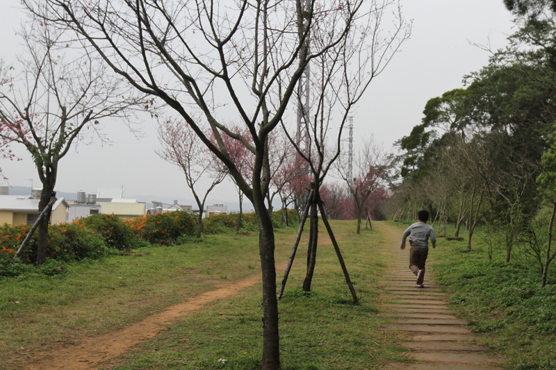 IMG_6426_調整大小.JPG IMG_6426_調整大小.JPG