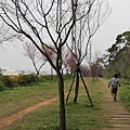 IMG_6426_調整大小.JPG