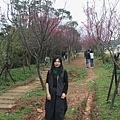 IMG_6431_調整大小.JPG
