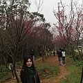 IMG_6432_調整大小.JPG