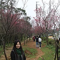IMG_6433_調整大小.JPG
