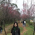 IMG_6434_調整大小.JPG