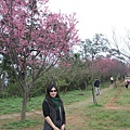 IMG_6440_調整大小.JPG