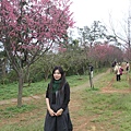 IMG_6441_調整大小.JPG