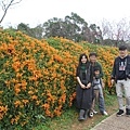 IMG_6447_調整大小.JPG