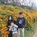 IMG_6449_調整大小.JPG