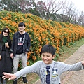 IMG_6453_調整大小.JPG
