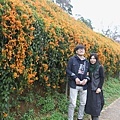 IMG_6473_調整大小.JPG