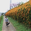 IMG_6476_調整大小.JPG