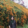 IMG_6477_調整大小.JPG