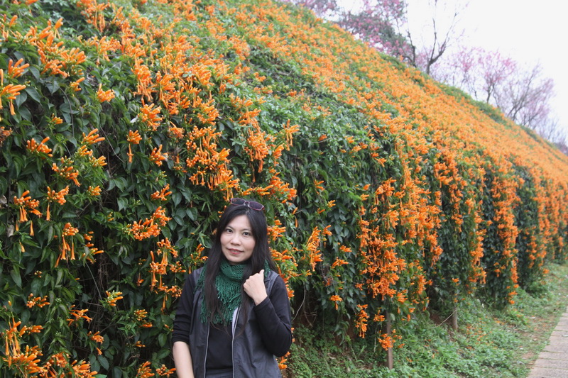 IMG_6478_調整大小.JPG IMG_6478_調整大小.JPG