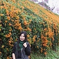 IMG_6478_調整大小.JPG
