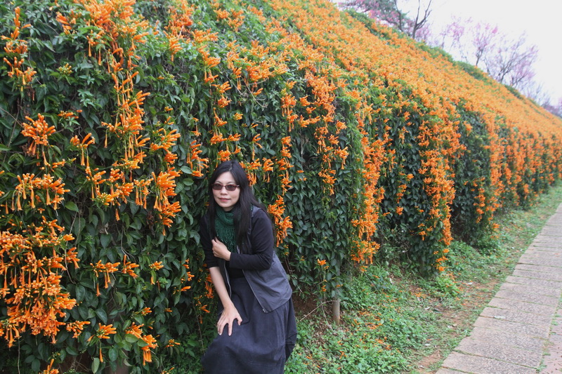 IMG_6480_調整大小.JPG IMG_6480_調整大小.JPG